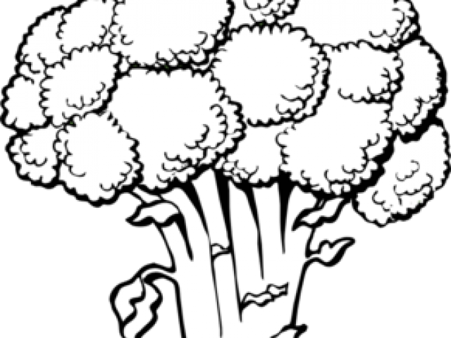 Broccoli Clipart Black And White - Broccoli Coloring Page - Png Download (640x480), Png Download