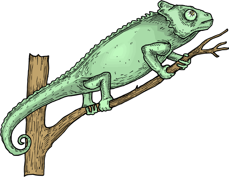 Free Lizard Clipart - Reptile - Png Download (750x578), Png Download