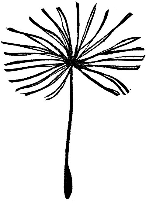 Dragonfly With 2016 Date Stamp - Paintbrush Clipart (480x664), Png Download