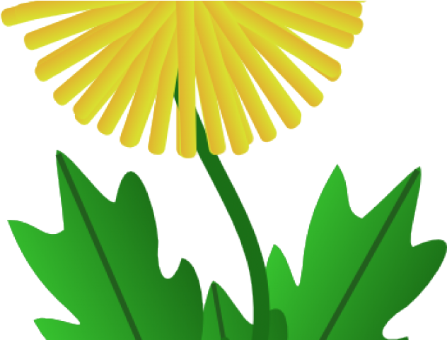 Dandelion Clip Art - Png Download (640x480), Png Download