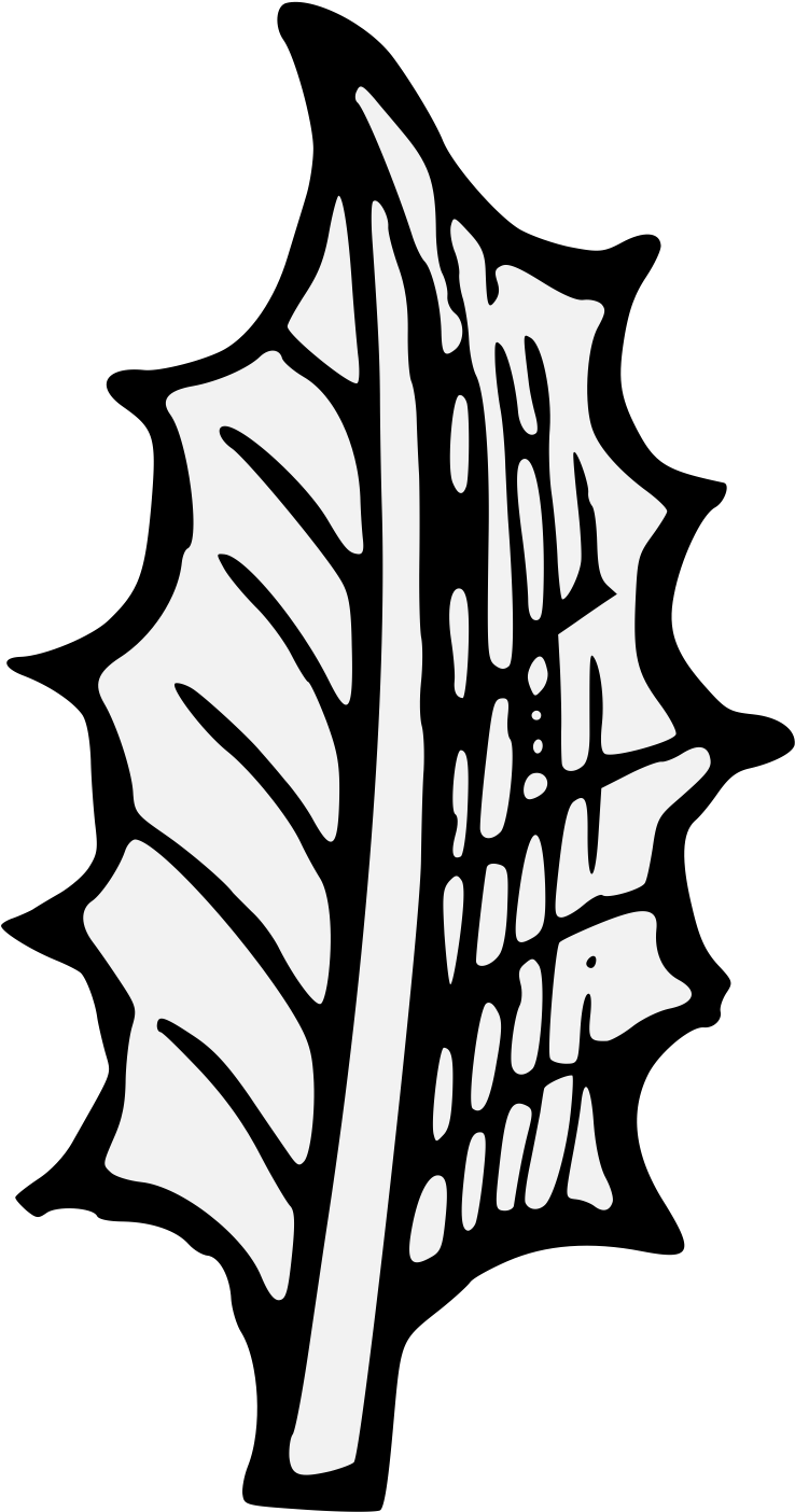 Pdf - Portable Network Graphics Clipart (763x1462), Png Download