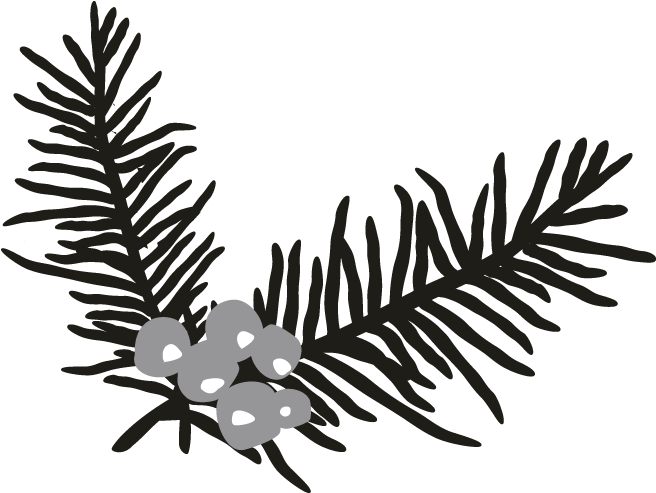 Holly Branch - Bird Clipart (696x696), Png Download