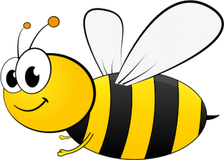 Permalink To Bee Images Clip Art Eyes Clipart - Bee Cartoon - Png Download (728x519), Png Download