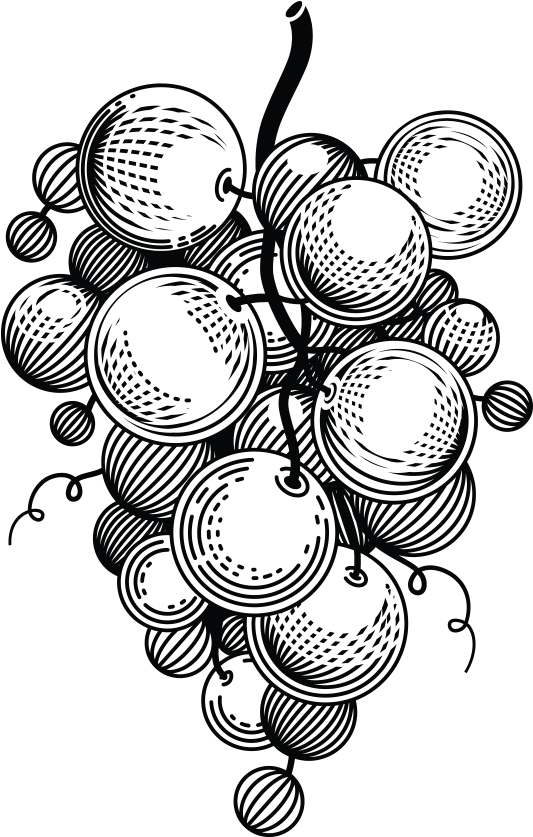 Grapes Black And White Clipart Png Download Full Size Clipart