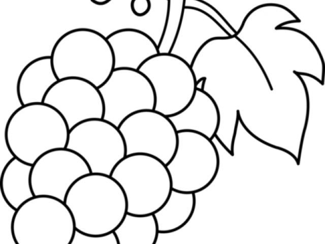 Grape Clipart Fruite - Grapes Clipart Black And White - Png Download (640x480), Png Download