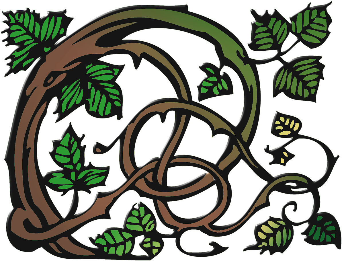 Ranke Clip Art Vine - Schlingpflanzen Clipart - Png Download (1280x1280), Png Download