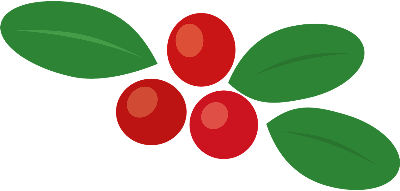 Cowberry Berry Autumn - Autumn Berries Clip Art - Png Download (1280x640), Png Download