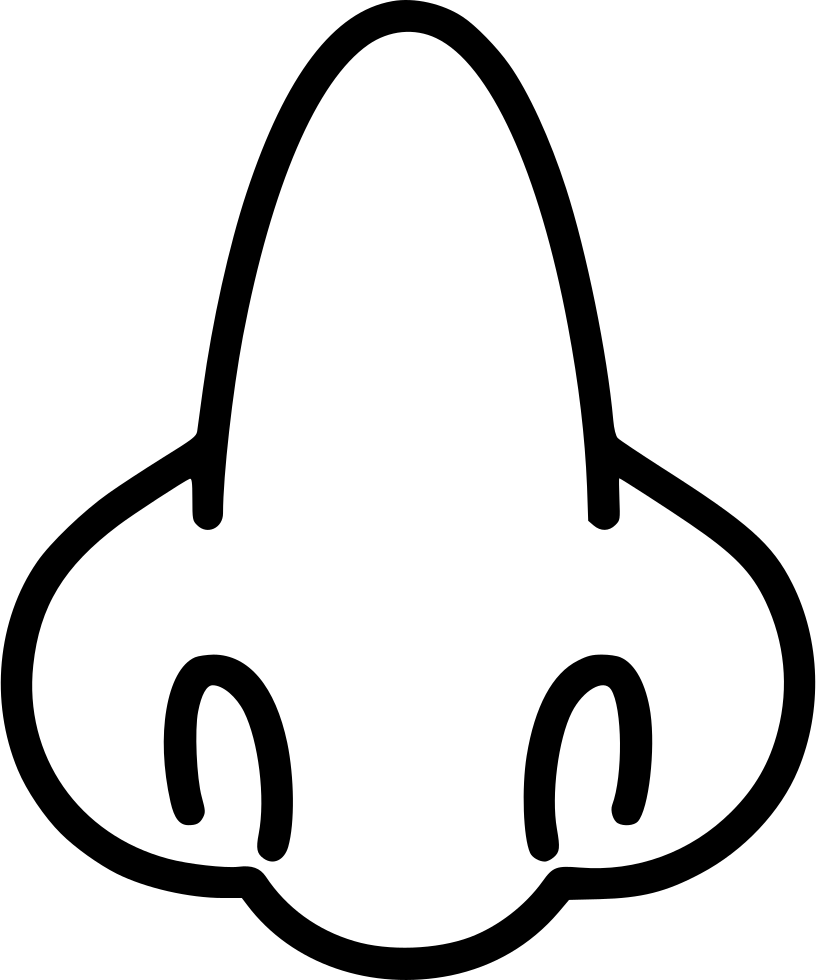 Biology Drawing Medicine Svg Black And White - Face Clipart (816x980), Png Download