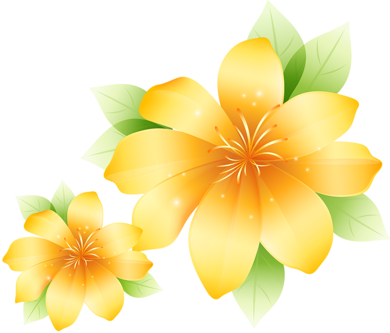 Large Yellow Flower Clipart - Yellow Flowers Images Clipart - Png Download (800x685), Png Download