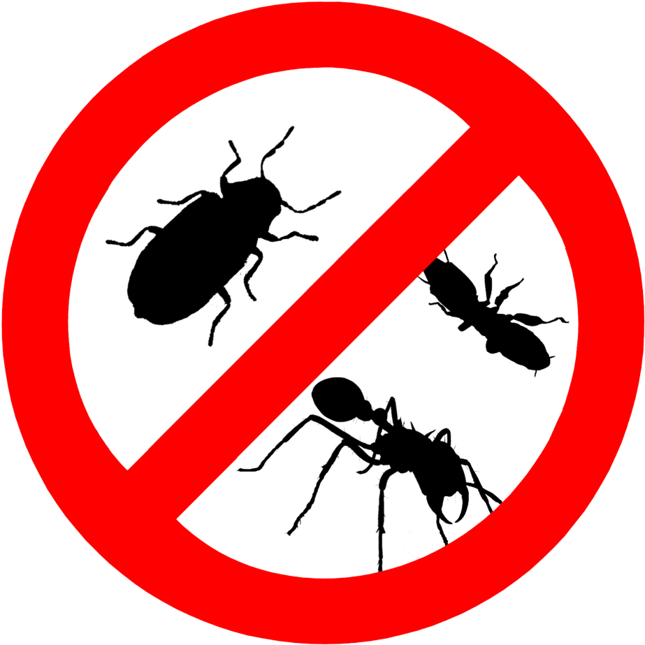 #111 01 - Don T Poop Dog Clipart (1000x1006), Png Download