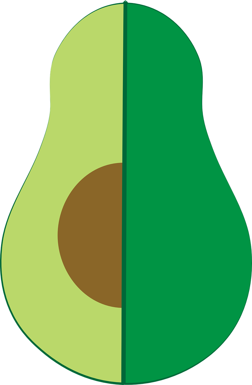 Avocado Clipart (500x763), Png Download