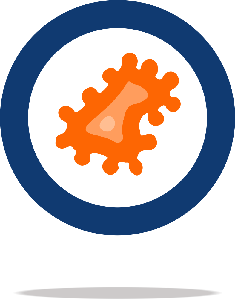 Biomaster Antibacterial Technology Prevents Bacteria - Antibacterial Clipart Transparent - Png Download (787x1000), Png Download