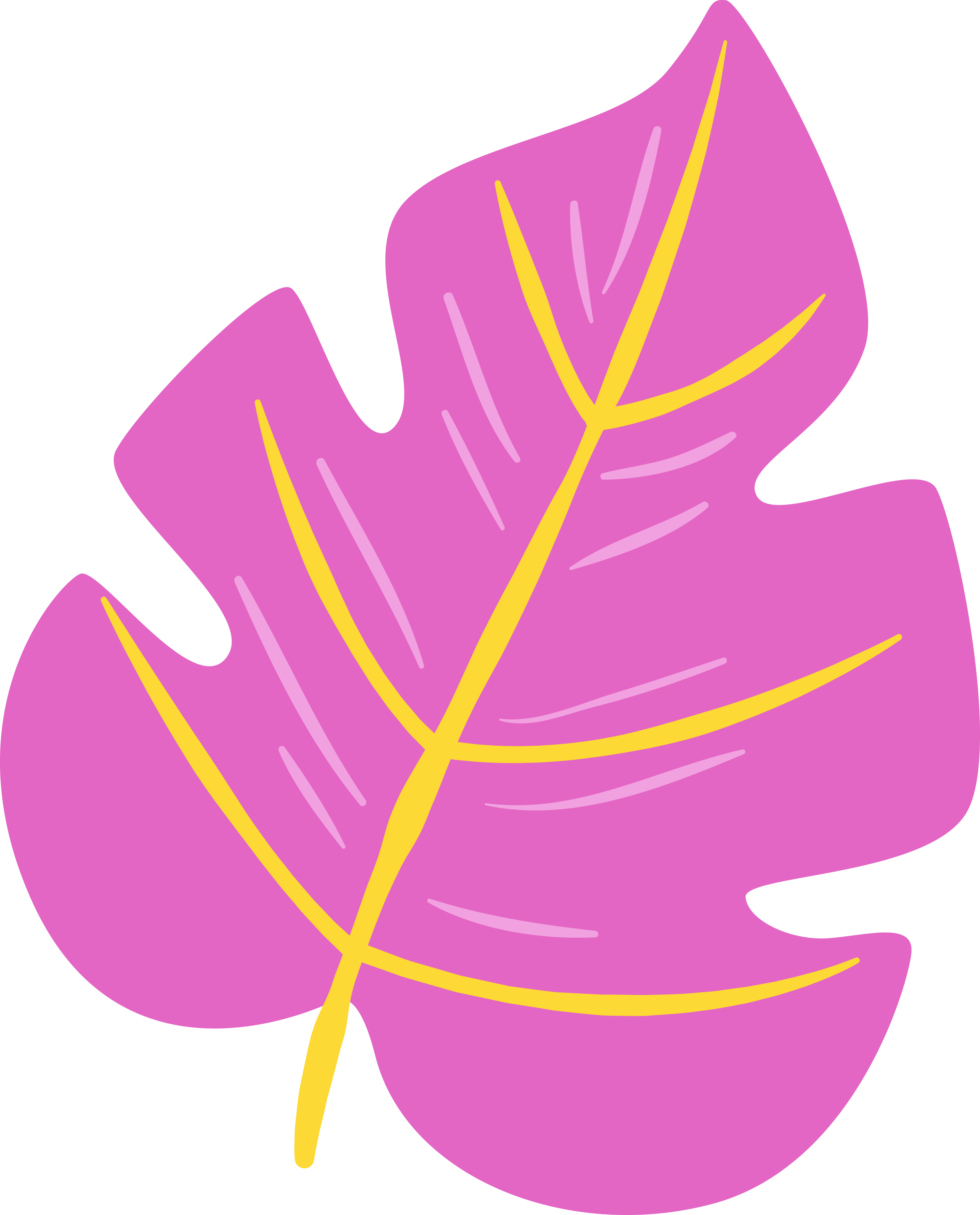 •flowers - - Clip Art - Png Download (2874x3562), Png Download