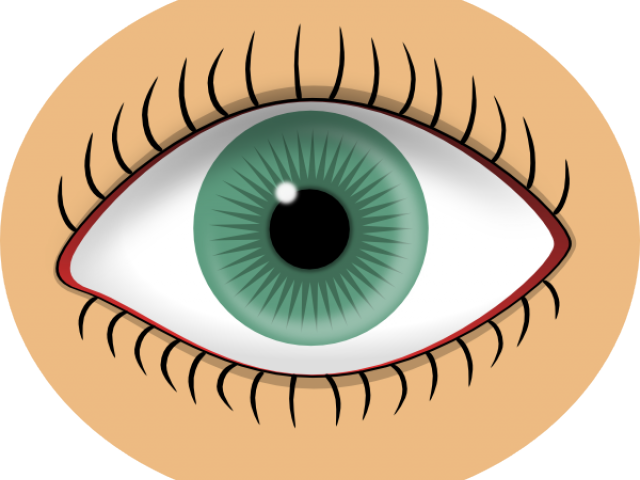 Eye Clip Art - Png Download (640x480), Png Download