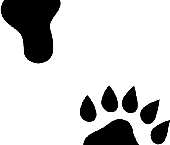 Otter Clipart Paws - Portable Network Graphics - Png Download (640x480), Png Download