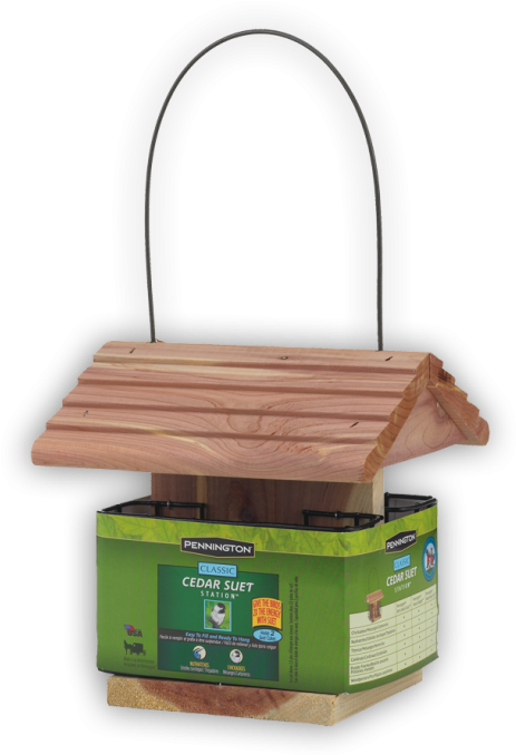 Cedar Suet Bird Feeder - Plywood Clipart (480x699), Png Download