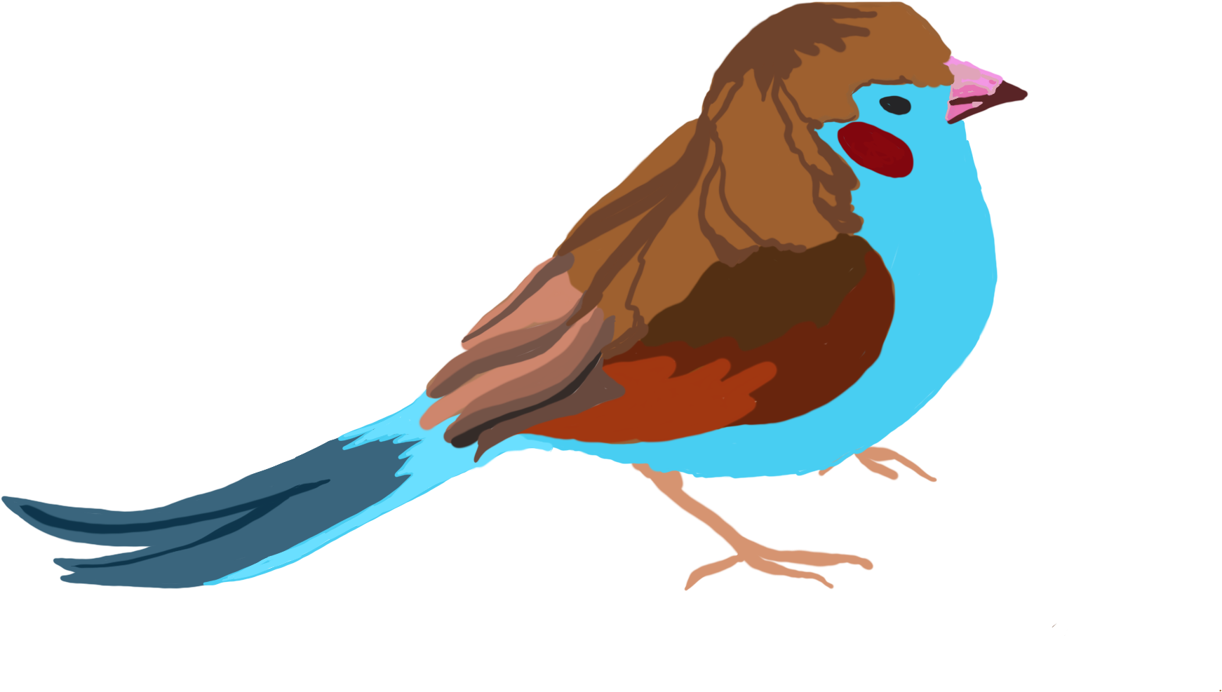 Bird Demi - Clipart (2480x3508), Png Download