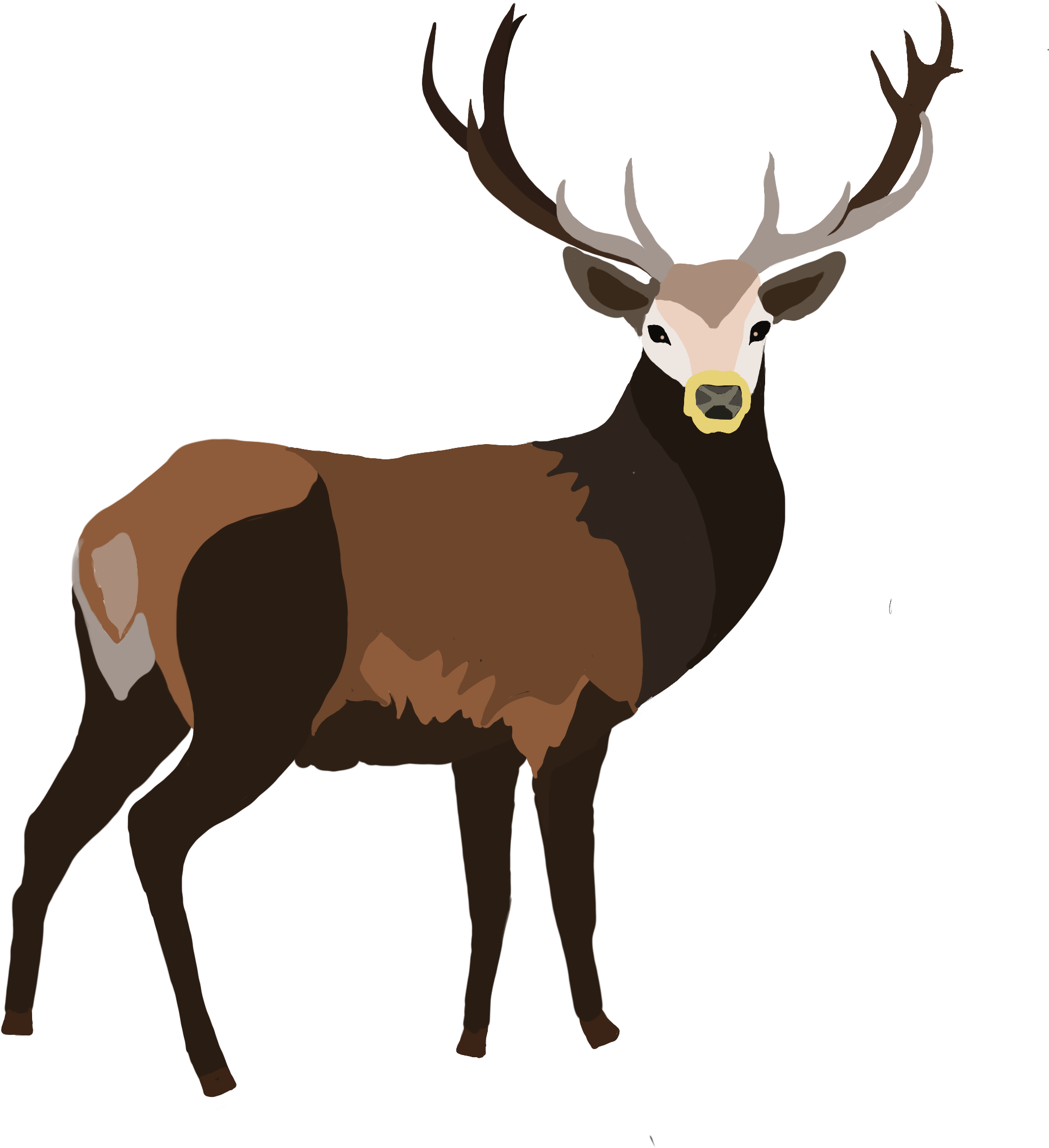 Stag Demi - Clipart (2480x3508), Png Download