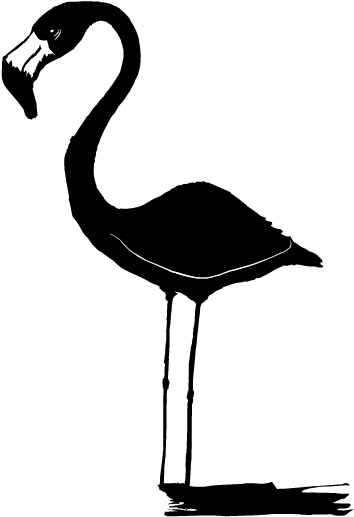 Logo Para Aitor Flamingos - Logo Clipart (664x1045), Png Download