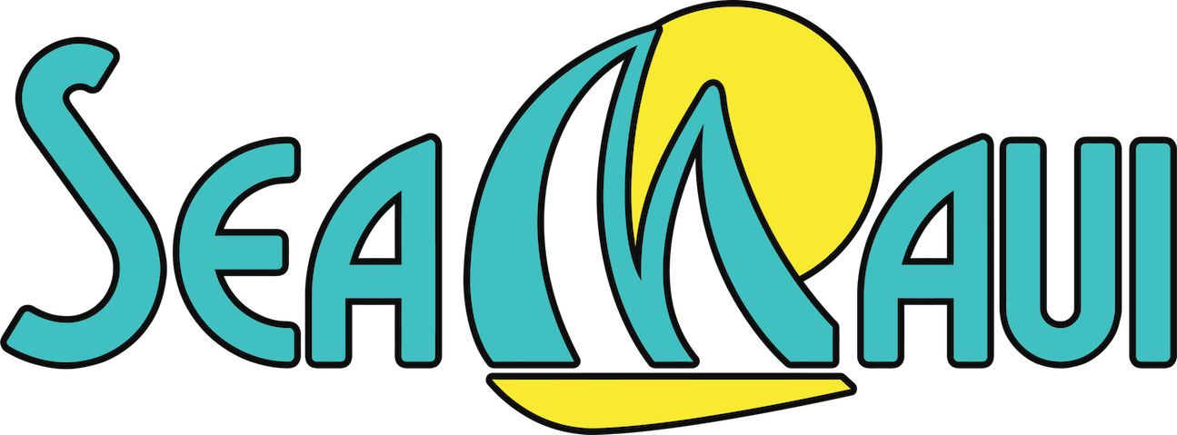 Watch Clipart Afternoon - Sea Maui - Png Download (1295x479), Png Download