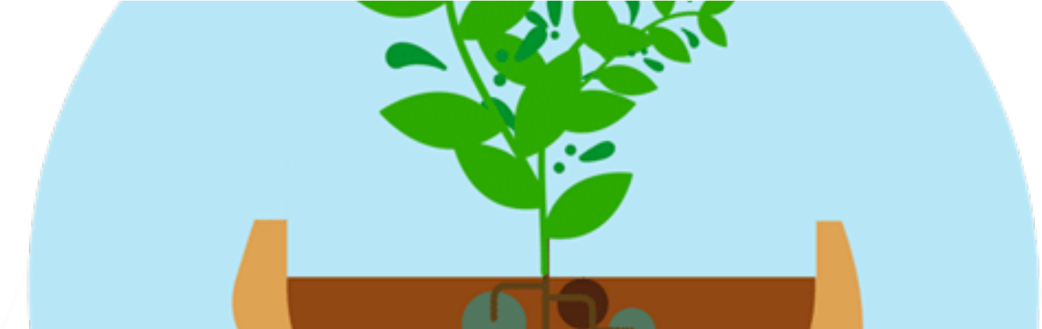 How To Adopt The Secret To Start-up Success - Mindset Clipart (1600x480), Png Download