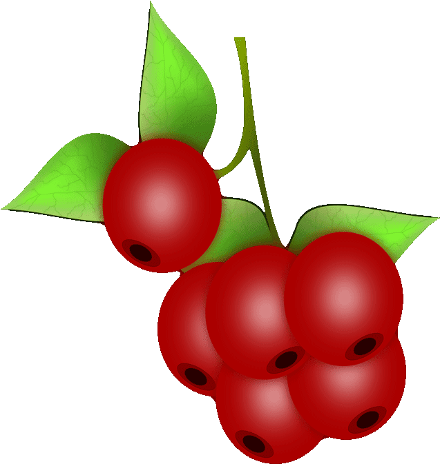 Cherry Blossom Clip Art Free Cherry Blossom Clip Art - Custom Red Berries Shower Curtain - Png Download (1280x720), Png Download