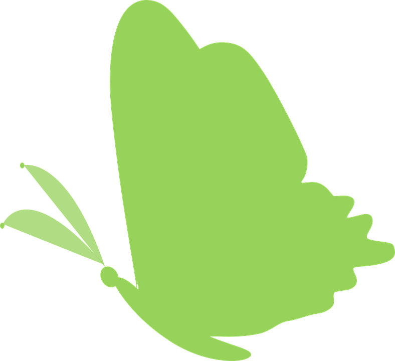 Green Butterfly Clipart Png Transparent Png (788x720), Png Download