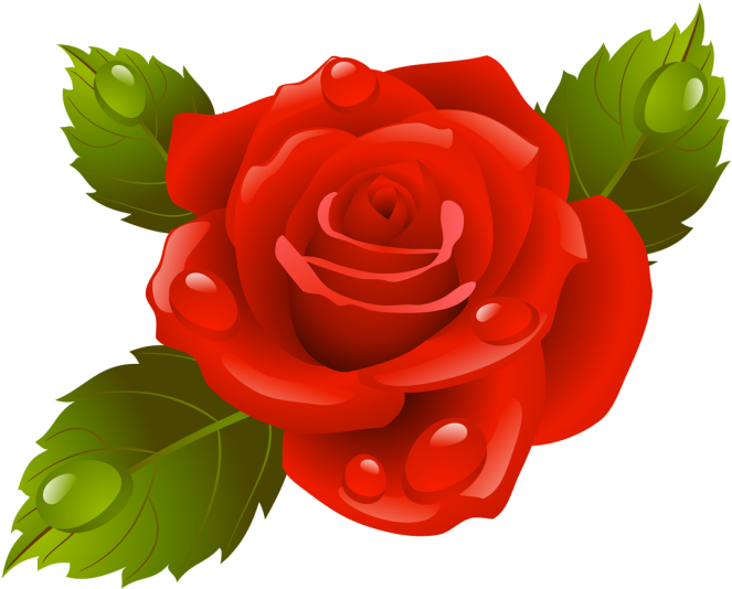 Клипарты Тема - Flower Pictures Clipart (671x600), Png Download