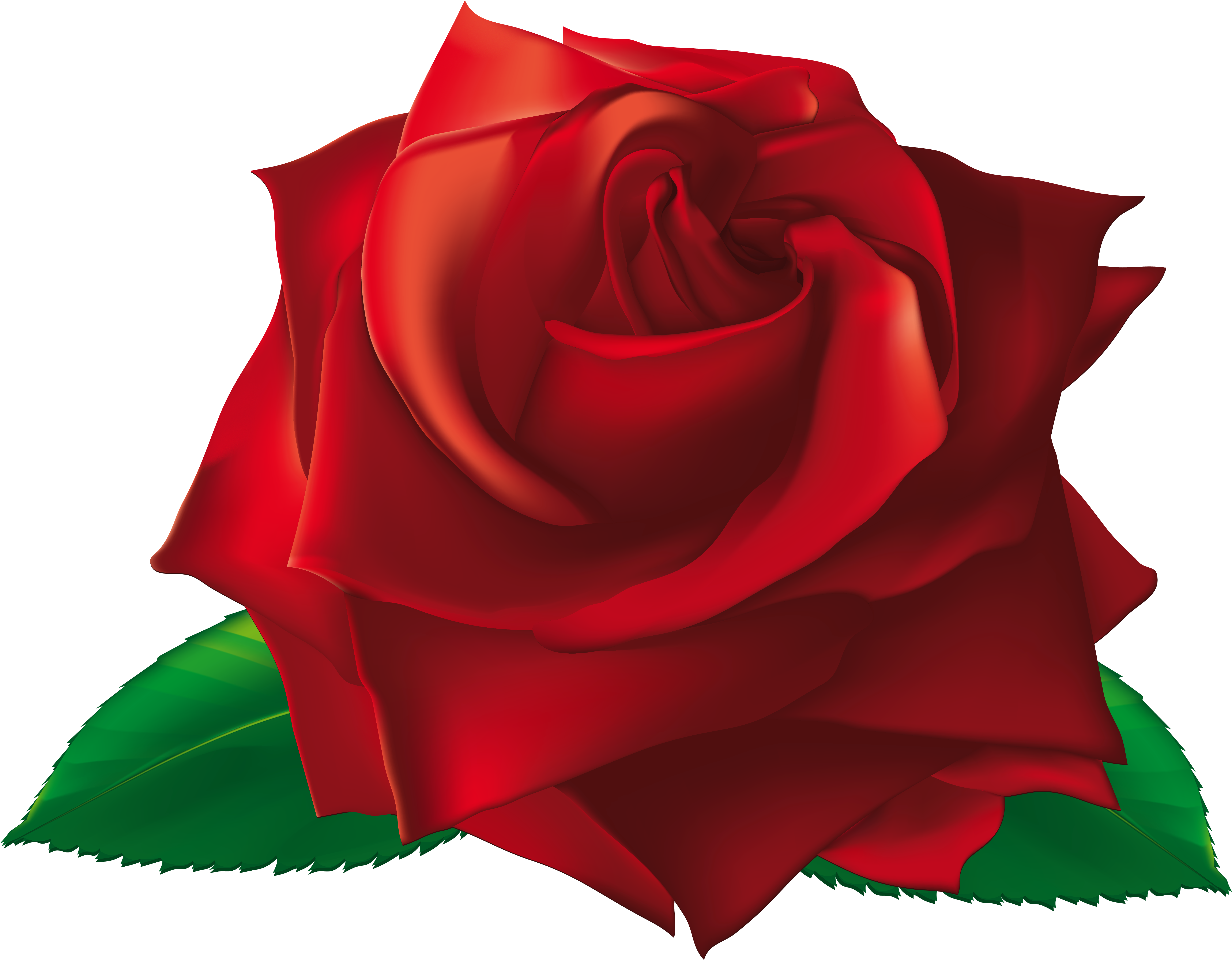 Single Rose Clip Art - Png Download (5942x4628), Png Download