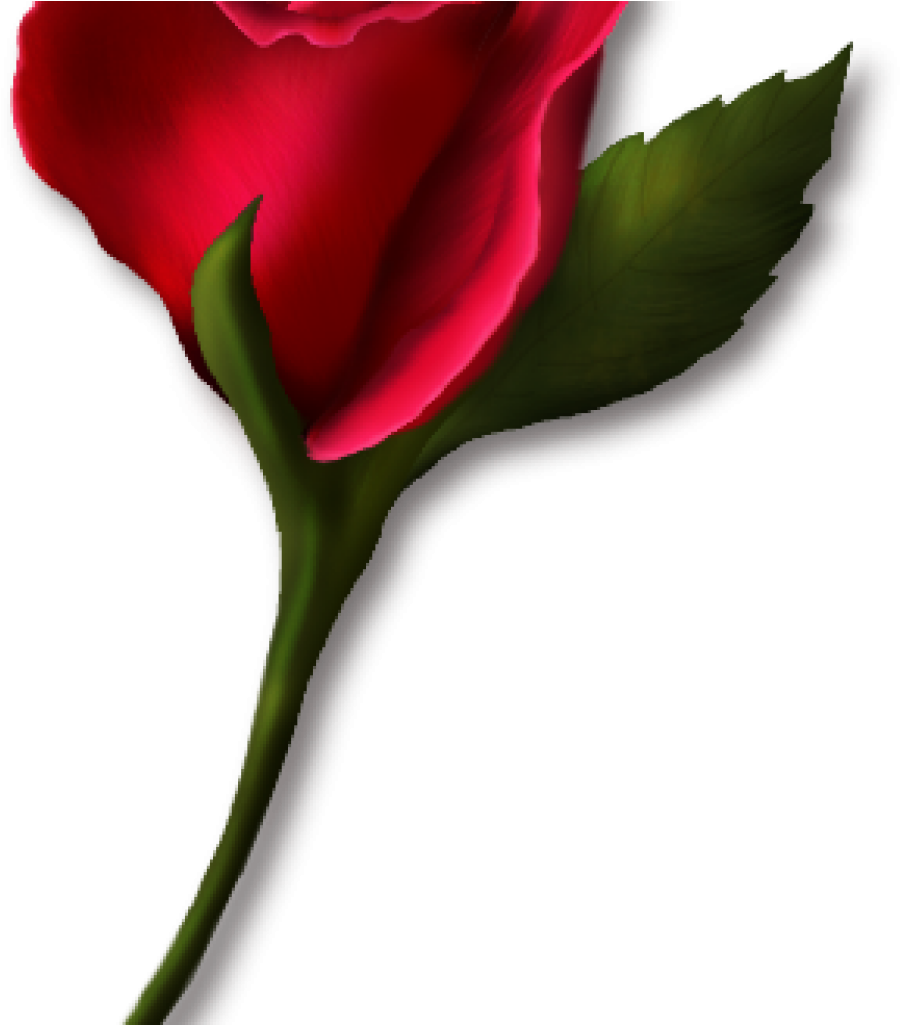 Single Rose Clipart Single Rose Clipart Png Real Clipart - Wedding Clip Art Transparent Png (1024x1024), Png Download