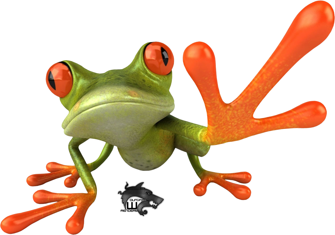 Red Eyed Tree Frog Clipart Transparent - Frog .png (1144x804), Png Download