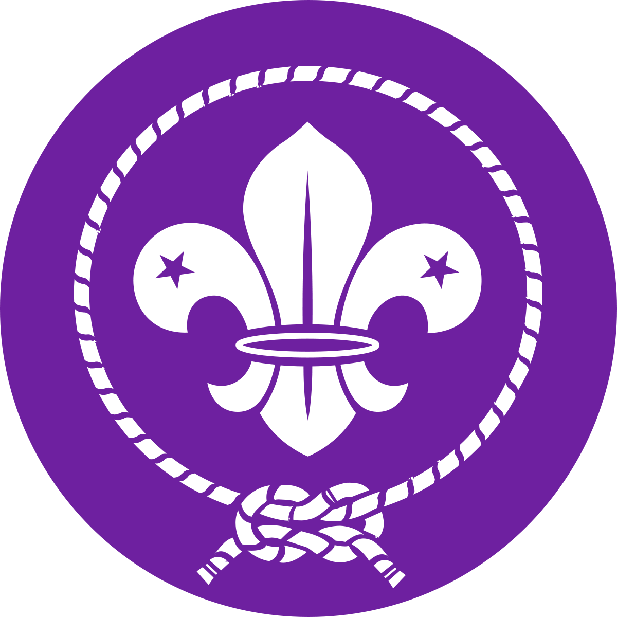 Search Clip Art 153kb - World Scout Logo Png Transparent Png (1200x1200), Png Download