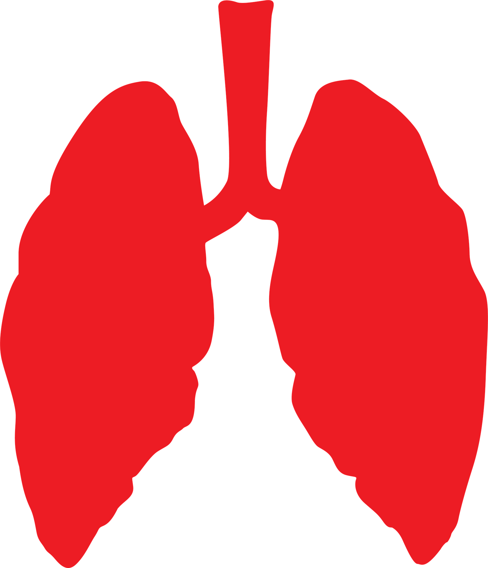 As Hurricane Michael Approaches Florida, Residents - Lungs Png Clipart (1650x1920), Png Download