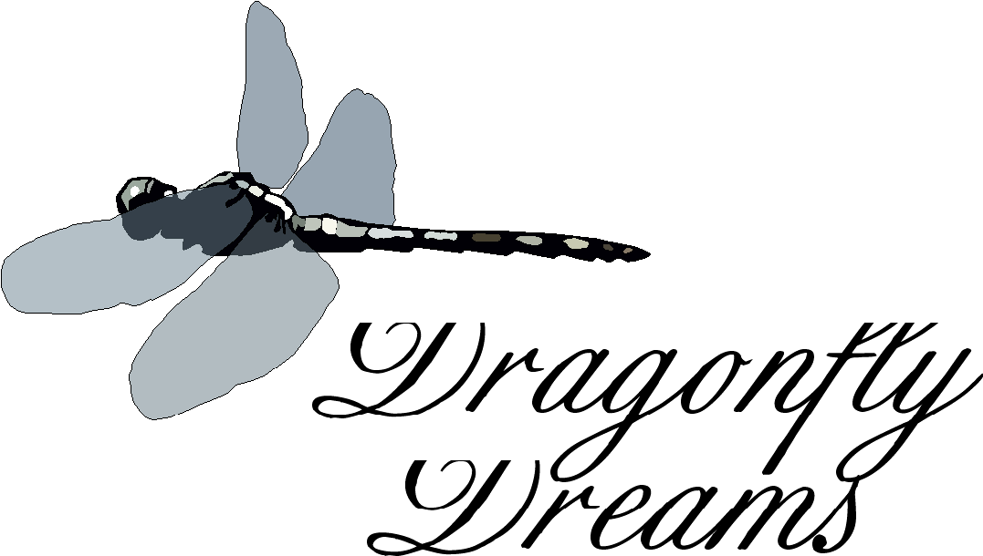 ,adobe Photoshop Additional Experience - Aerialite Clipart (1077x610), Png Download