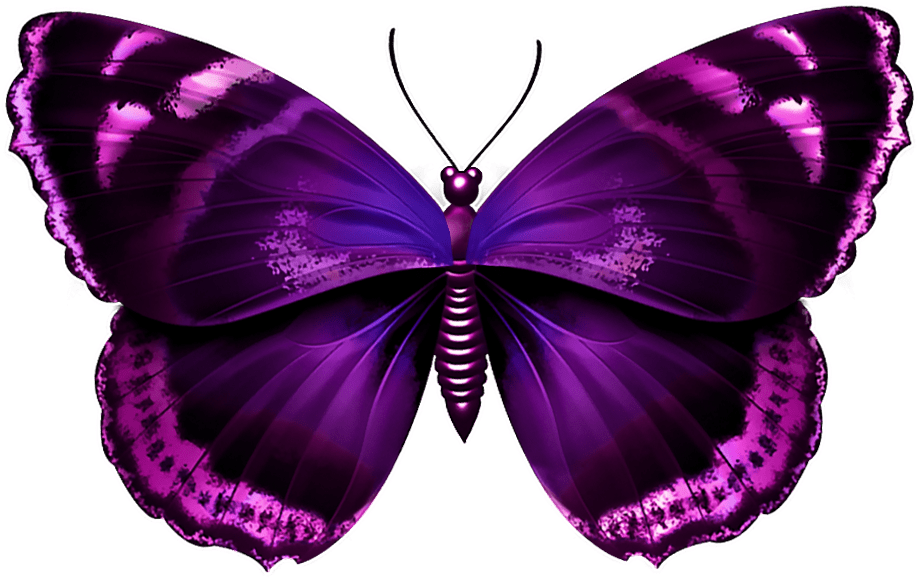 Purple Butterfly Png Transparent Clipart (930x614), Png Download