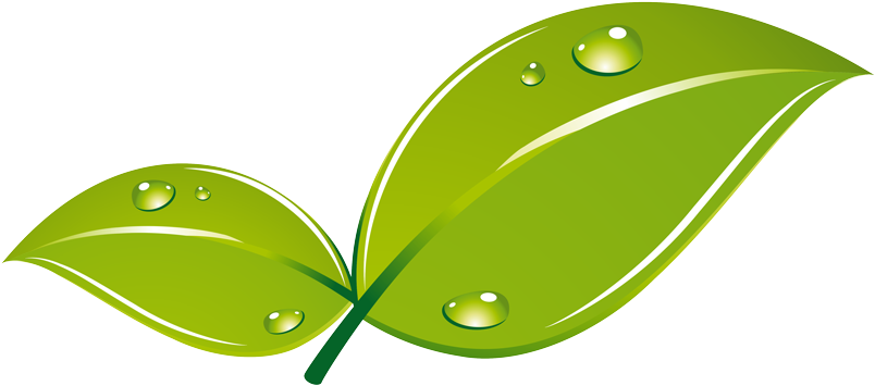 Illustration Clipart (960x600), Png Download