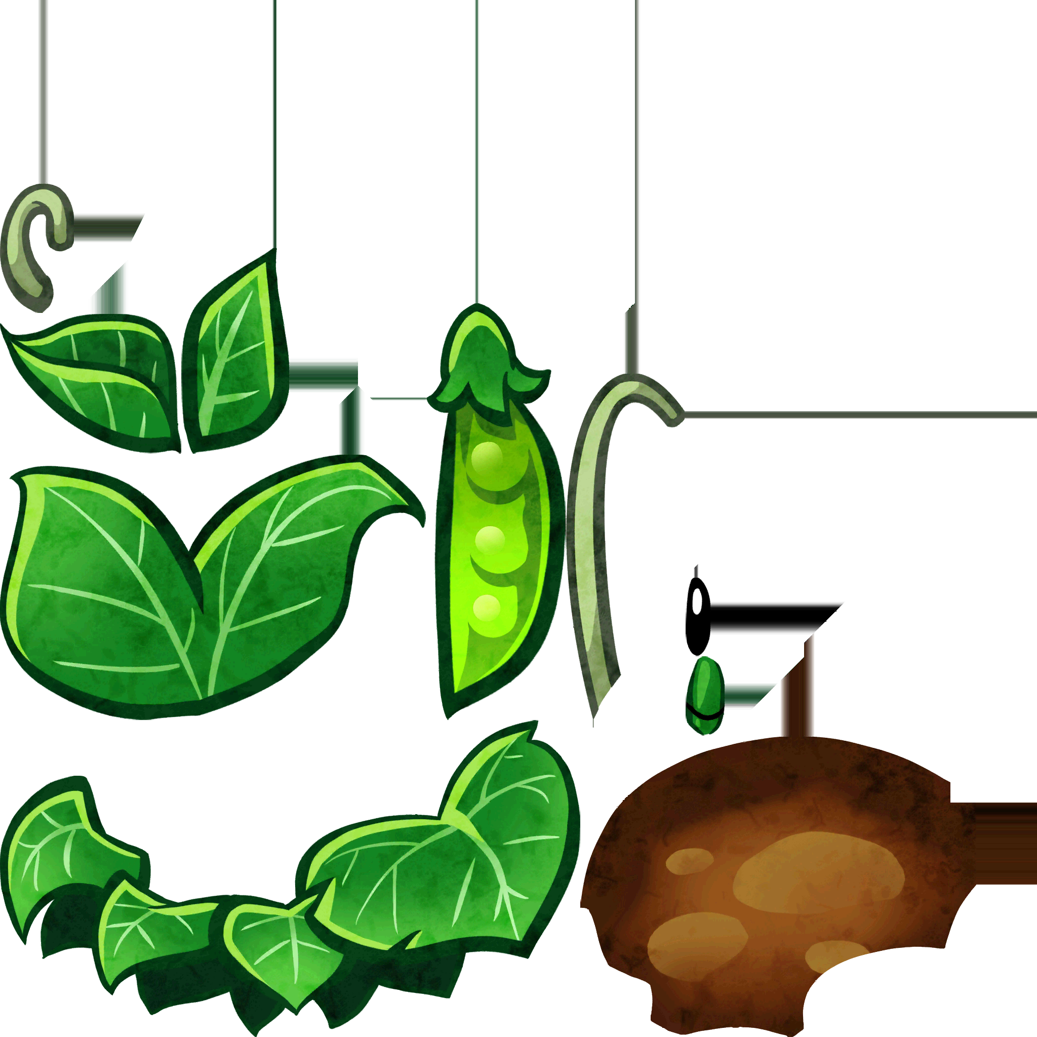 New Card Pea Patch Crazy Set Changes - Pea Clipart (2048x2048), Png Download