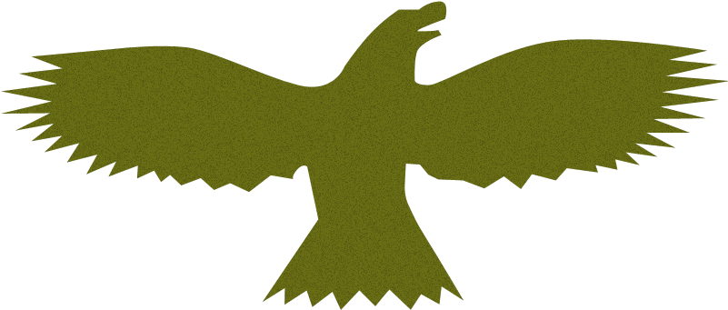 Birds - Download Clipart (800x600), Png Download