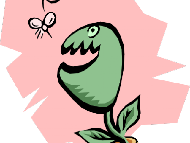 Trap Clipart Fly Trap - Png Download - Full Size Clipart (#859058