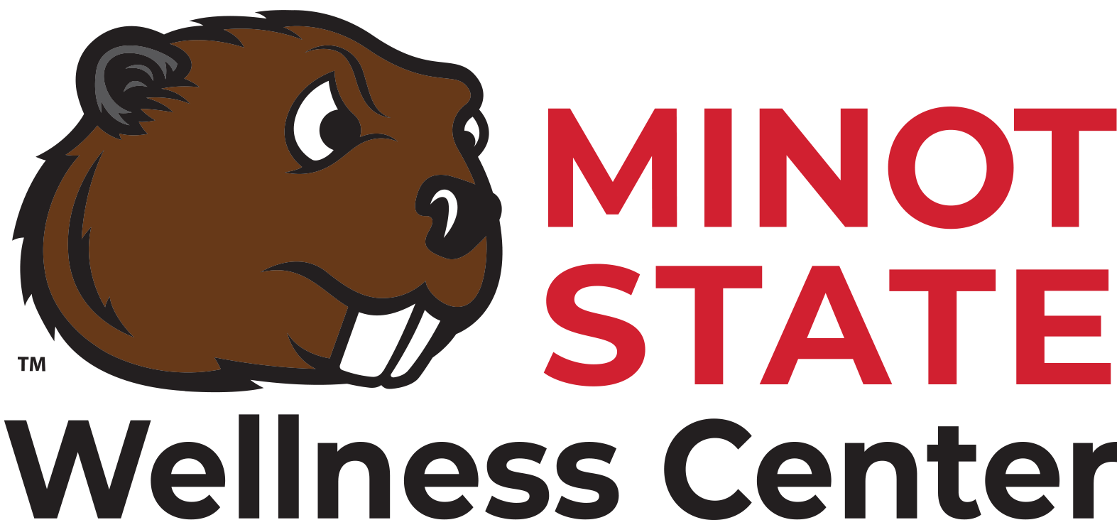 Student Wellnessbvr Color 2018 2 - Minot State University Clipart (1800x911), Png Download