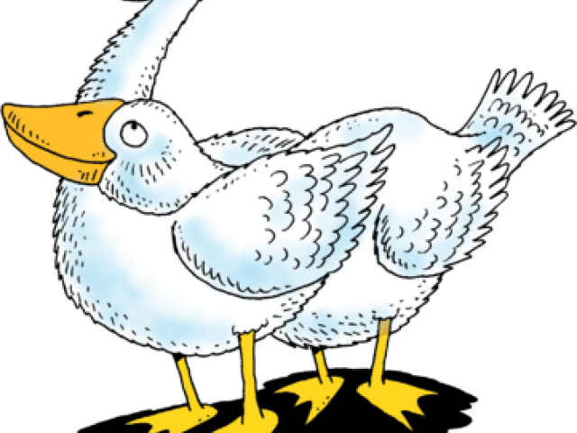 Goose Clipart Two - Clip Art - Png Download (640x480), Png Download
