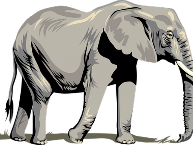 Tusk Clipart Asia Animal - Clip Art Png Elephant Transparent Png (640x480), Png Download