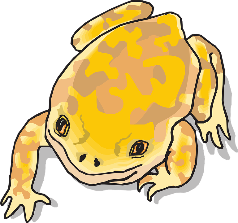 Jungle Clipart Frog - Yellow Cartoon Frog - Png Download (769x720), Png Download