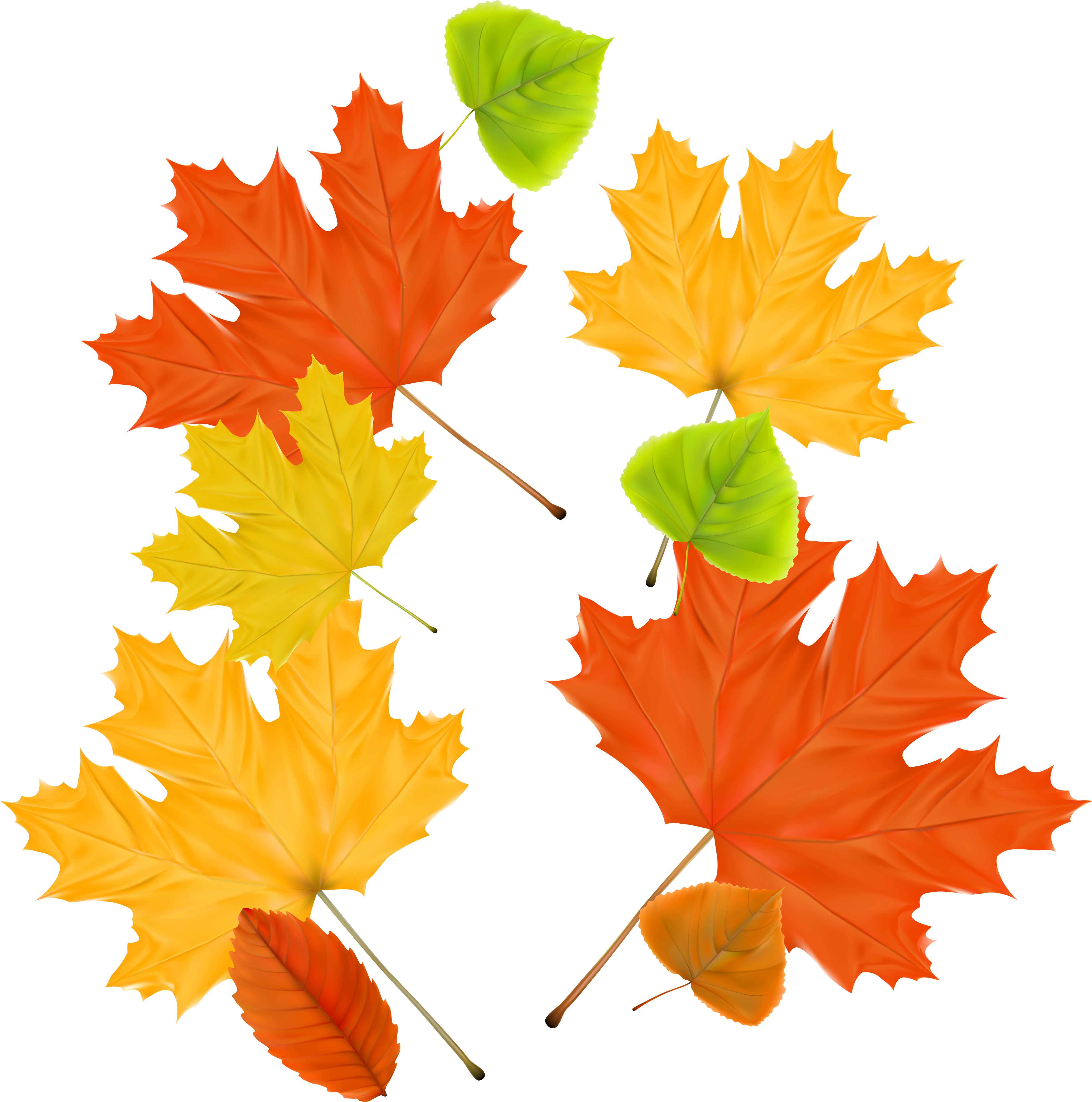 Осенний Лист Пнг Clipart (5000x5043), Png Download