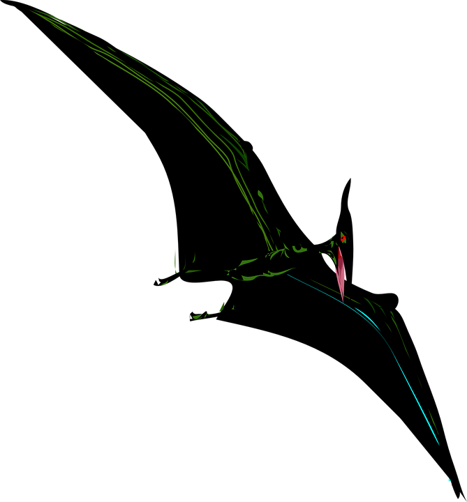 Dinosaurs Clipart Bird - Coloring Books Jurassic World: Creative Coloring Animals - Png Download (669x720), Png Download