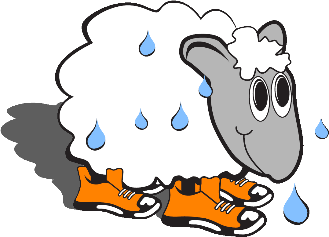 California Events - Sweaty Sheep Clipart (1132x804), Png Download