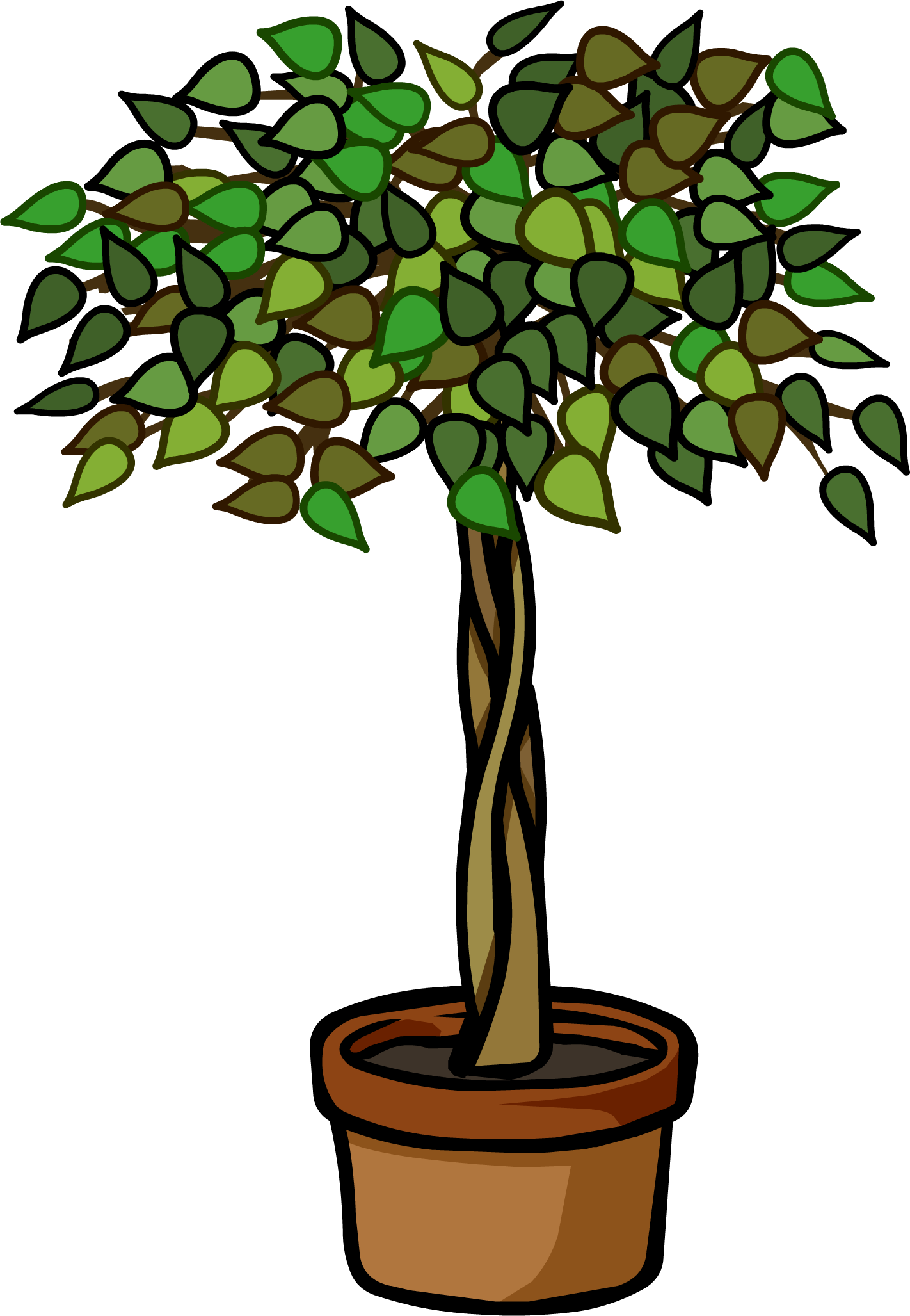 John Cena Clipart Plant - Ficus Tree Clip Art - Png Download (1422x2055), Png Download