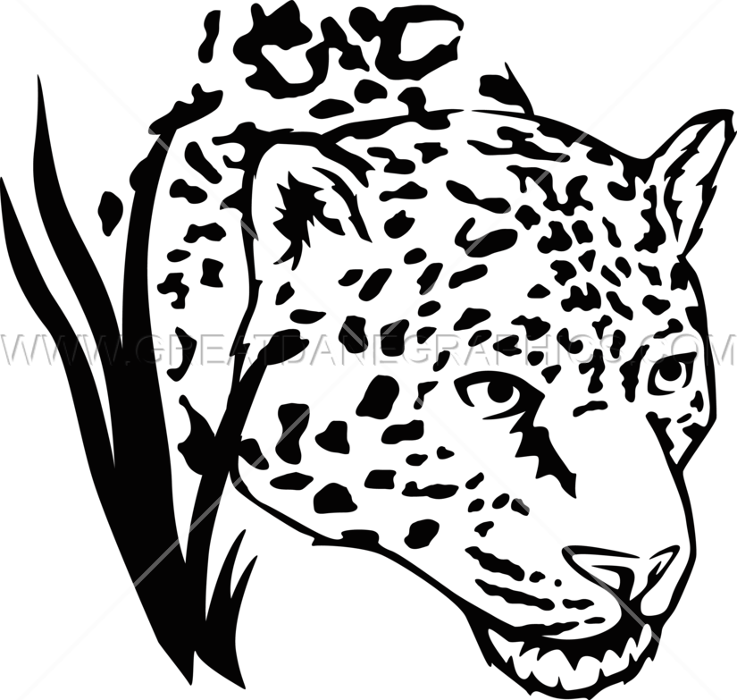 Clipart Transparent Stock Drawing At Getdrawings Com - Jaguar Black And White Png (825x783), Png Download