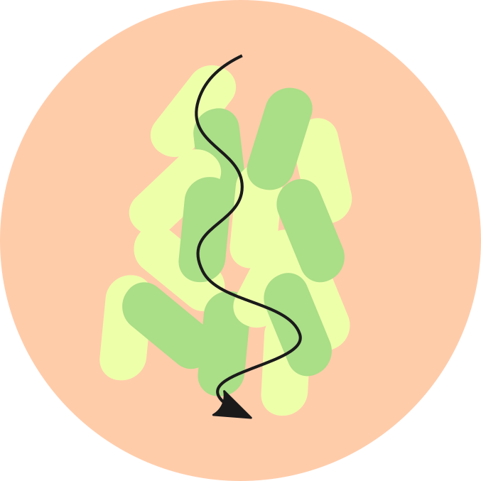 Applications Of Co-cultures - Illustration Clipart (677x677), Png Download