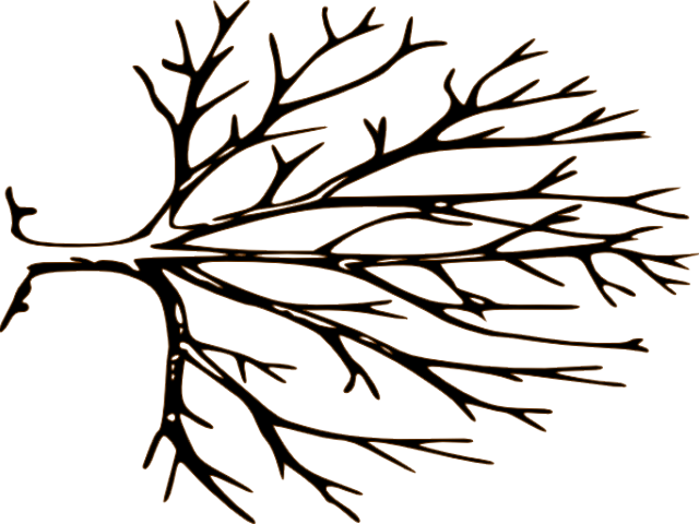 Black And White Tree Clipart - Png Download (640x480), Png Download